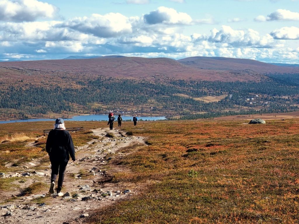Vandringsled och fjäll