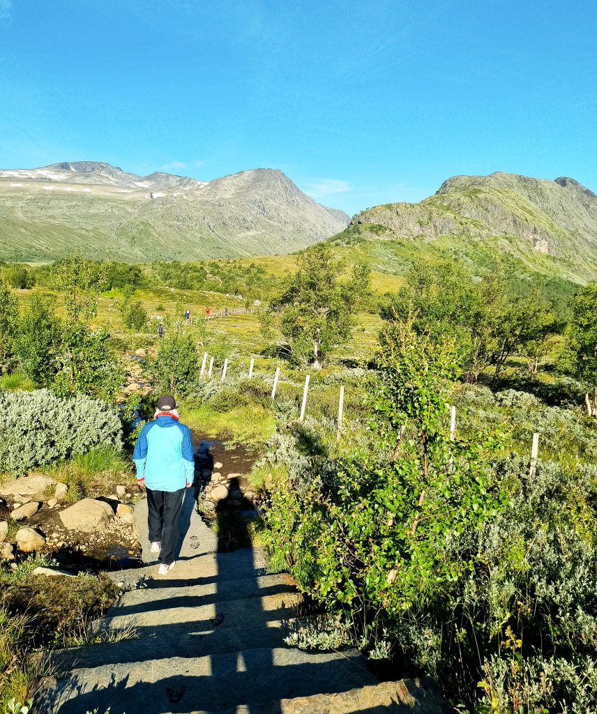 Starten av leden mot Knutshøe